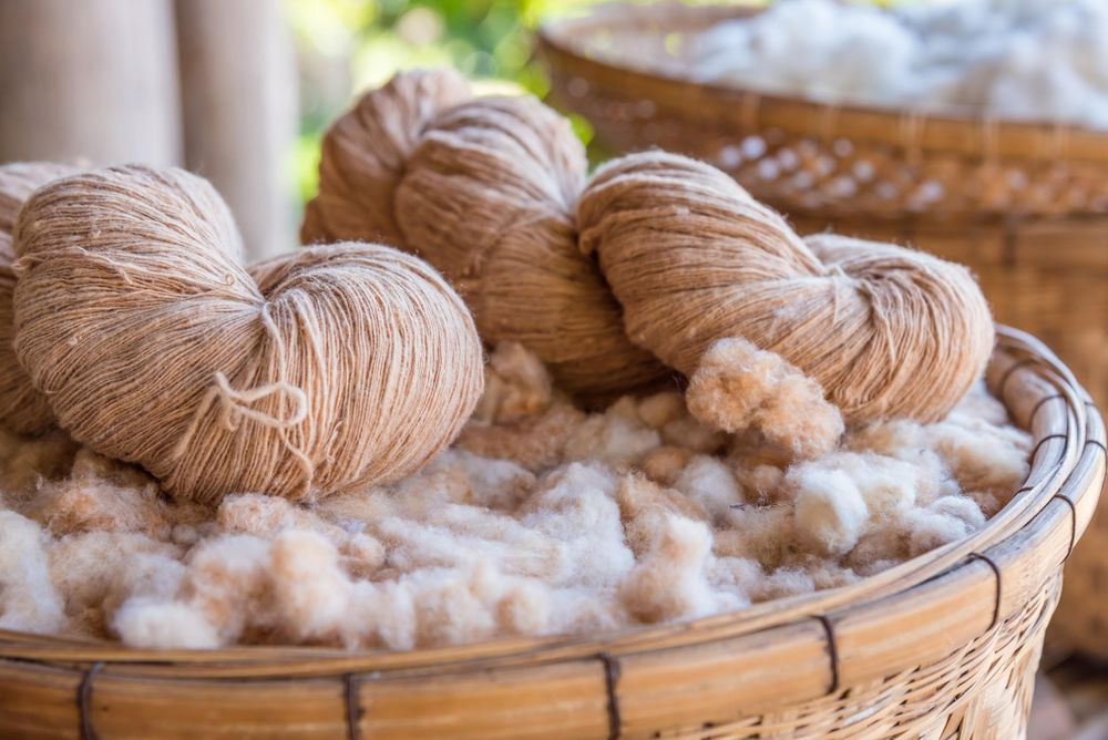 Organic Cotton Image